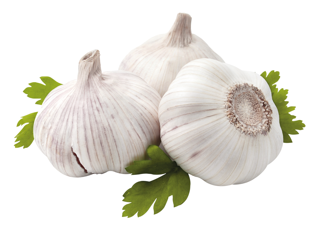 garlic-freigestellt
